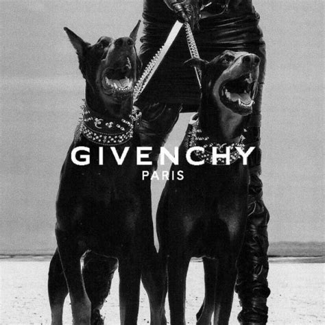 givenchy animal|Givenchy dog wallpaper.